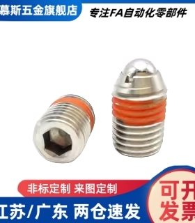 BSJF3 4 5 6 8 10 12 16 不锈钢球头柱塞