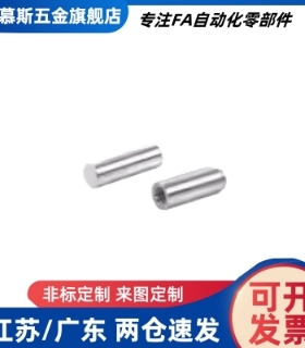 BLW81/82/83-h7-D1/2/3/4/5/6/8-L5/6/8/10/12/15/20/25/30定位销