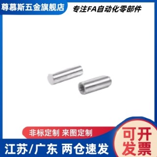 BLW81/82/83-h7-D1/2/3/4/5/6/8-L5/6/8/10/12/15/20/25/30定位销