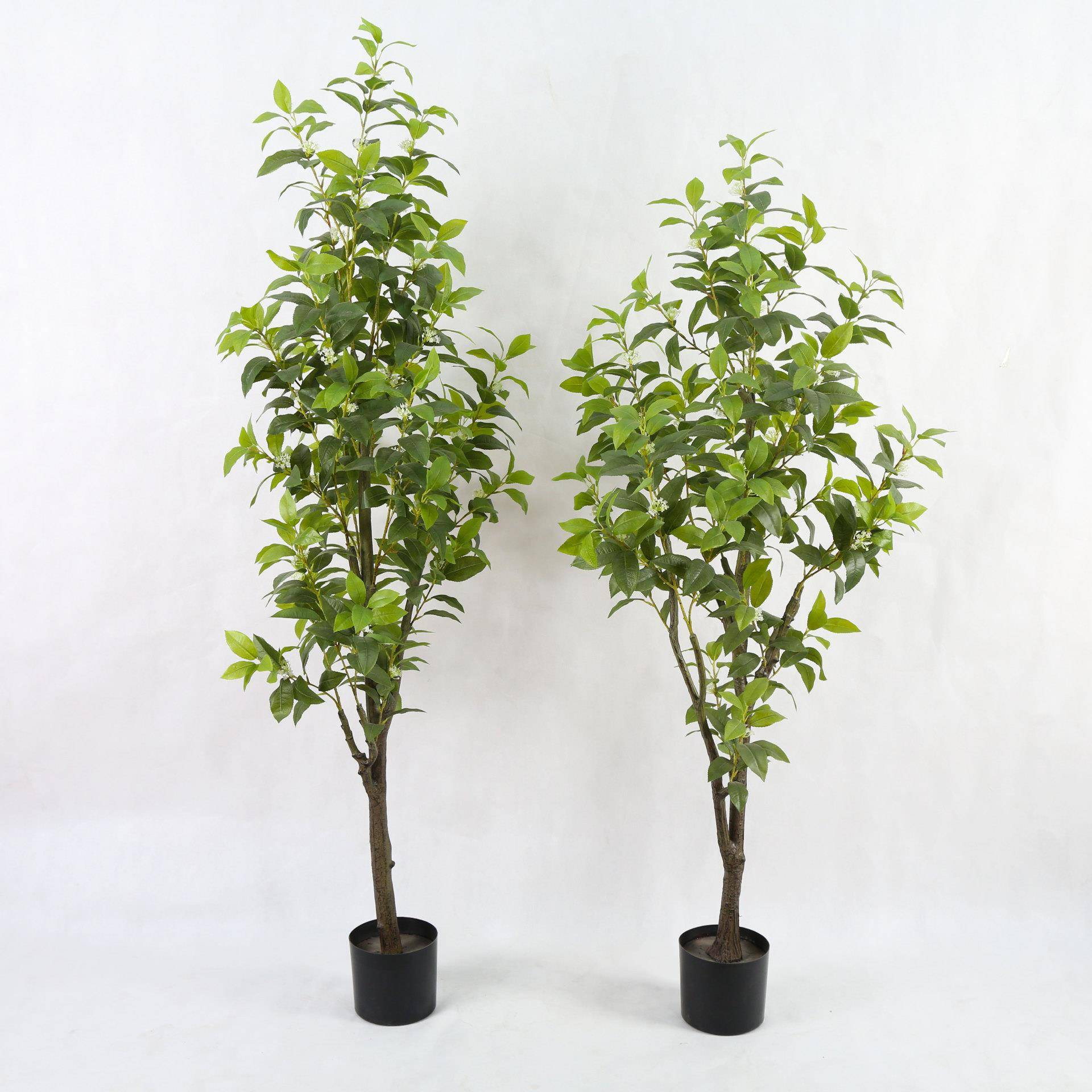 仿真桂花树绿植盆栽真植物人造盆景金桂银桂丹桂