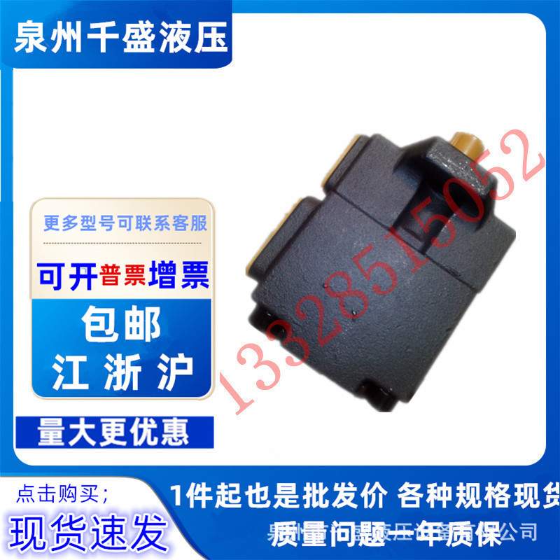 YLC仙居永灵PV2R2-26/33/41/47/53/59/65/70/75/79/85F1叶片油泵