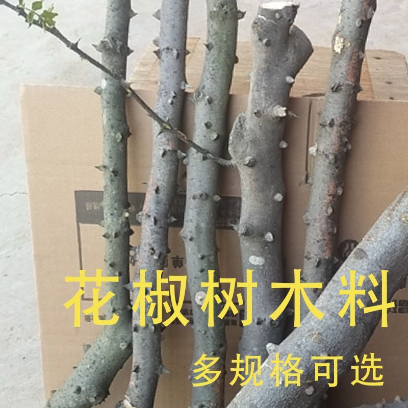 花椒木棍宝宝婴儿磨牙棒玩具树枝原木雕刻制作工具包花椒木棍