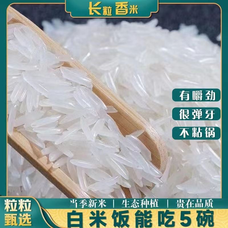 新禾2025新米广西长粒香米|象牙米|梯田种植|优质清香软糯