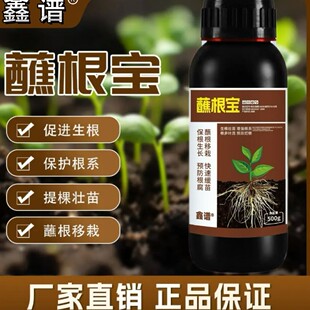 鑫谱蘸根宝瓜果蔬菜花卉苗木蘸根生根壮苗提高移栽成活率蘸根剂