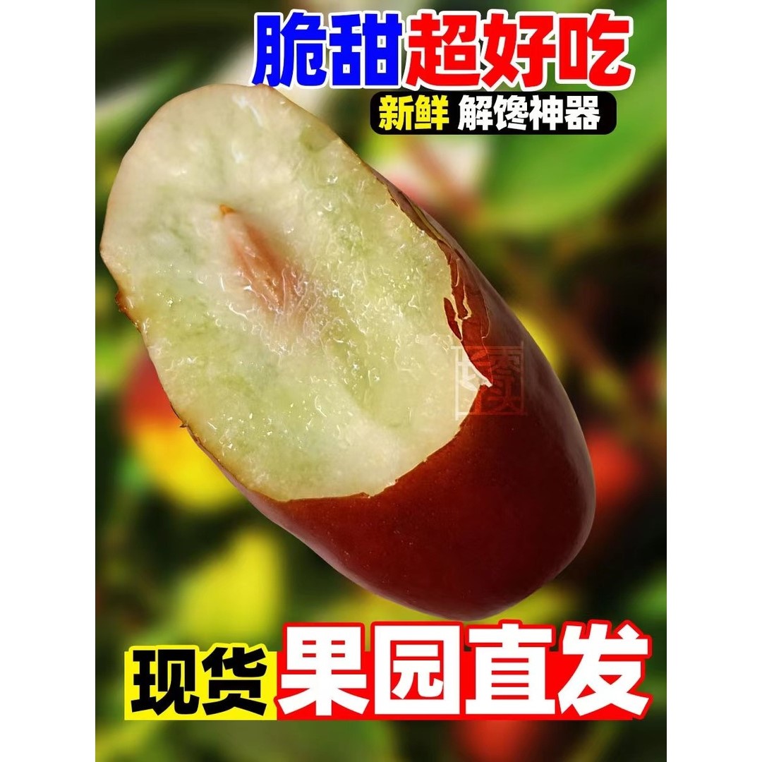 顺丰宁夏灵武长红枣比冬枣脆甜只做品质不做小果