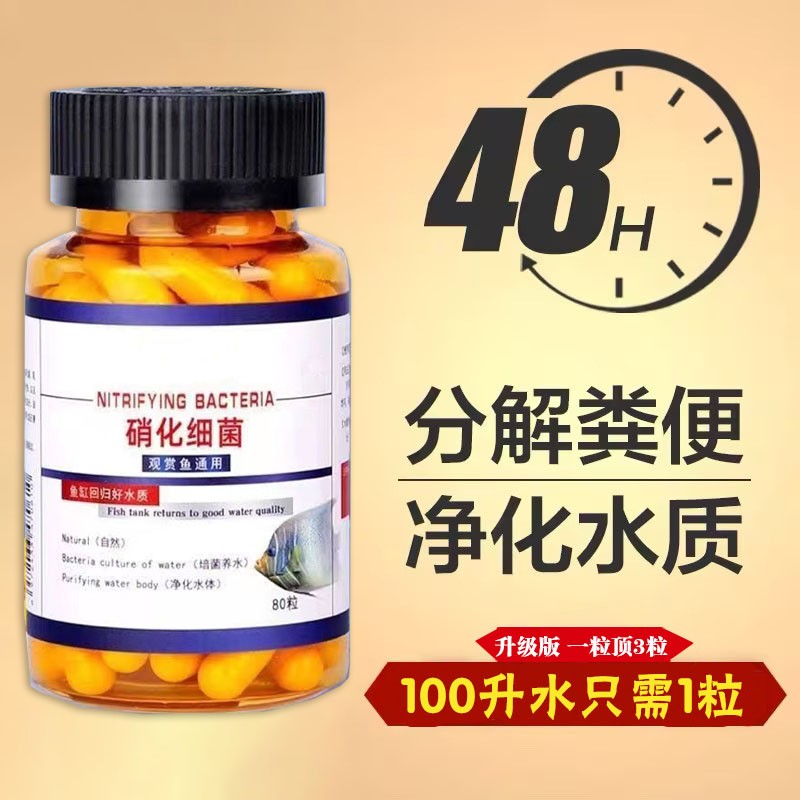 【2024升级款】硝化细菌鱼缸专用通用消化菌液告别鱼缸浑浊腥臭发