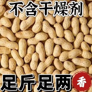 炒原味花生农家新货柴火炒花生铁锅带壳2025年原味炒熟坚果零食无