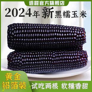 逅甜2025年头茬黑糯玉米真空包装低脂8支240克/根低糖轻食