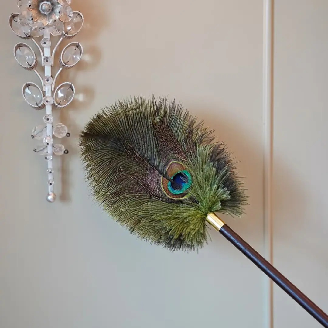 孔雀鸵鸟毛防静电胡桃色手柄除尘掸家用高档装饰