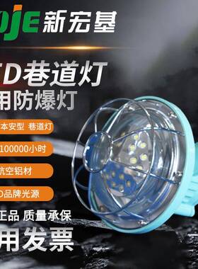 DGS36/127L（A）矿用隔爆型圆形LED巷道灯