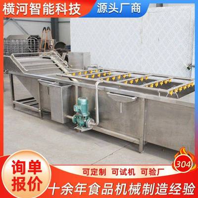 大型果蔬清洗机去农残设备香菇萝卜土豆去污洗菜机气泡清洗机器