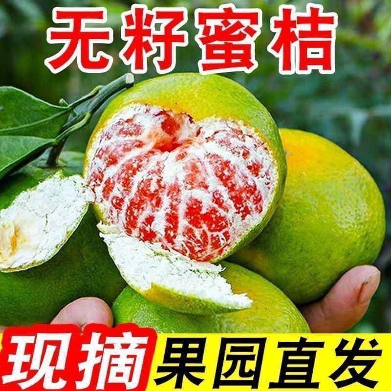 宜昌无籽青皮蜜橘桔子新鲜孕妇水果早熟无籽蜜桔桔子整箱包邮