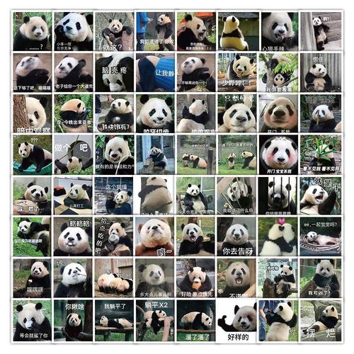 309张写实国宝熊猫表情贴纸ins风超萌可爱装饰笔记本桌面手账贴画