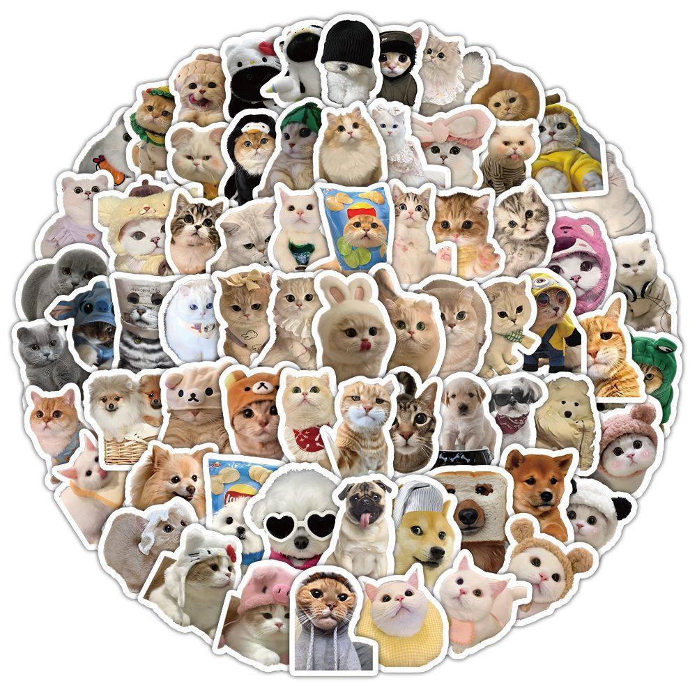 240张写实猫狗贴纸可爱贴纸ins猫咪创意装饰萌宠手账防水精致贴画