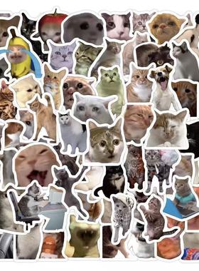 搞怪小猫猫meme贴纸可爱沙雕猫咪创意爆款手机桌面防水贴画