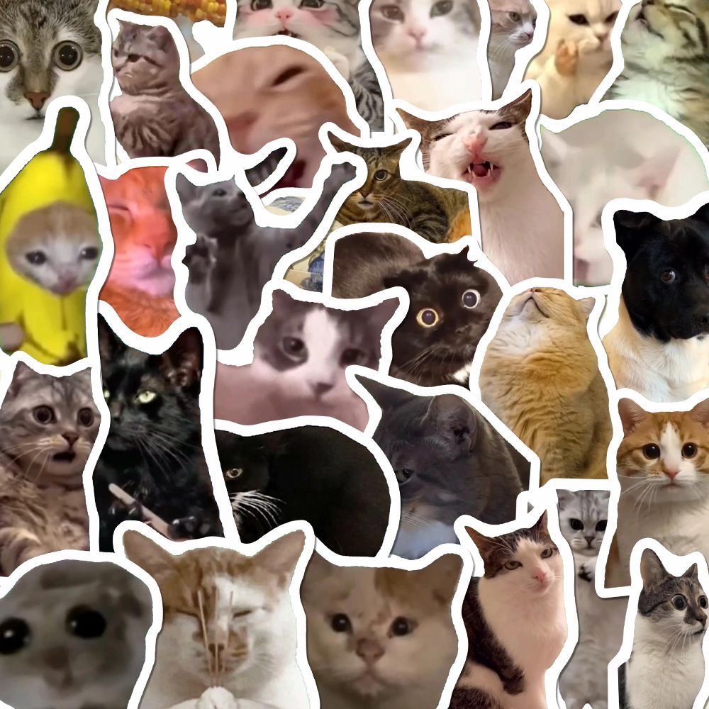 106张猫meme贴纸可爱搞笑鬼畜猫咪ins风表情包梗图素材手账本贴画