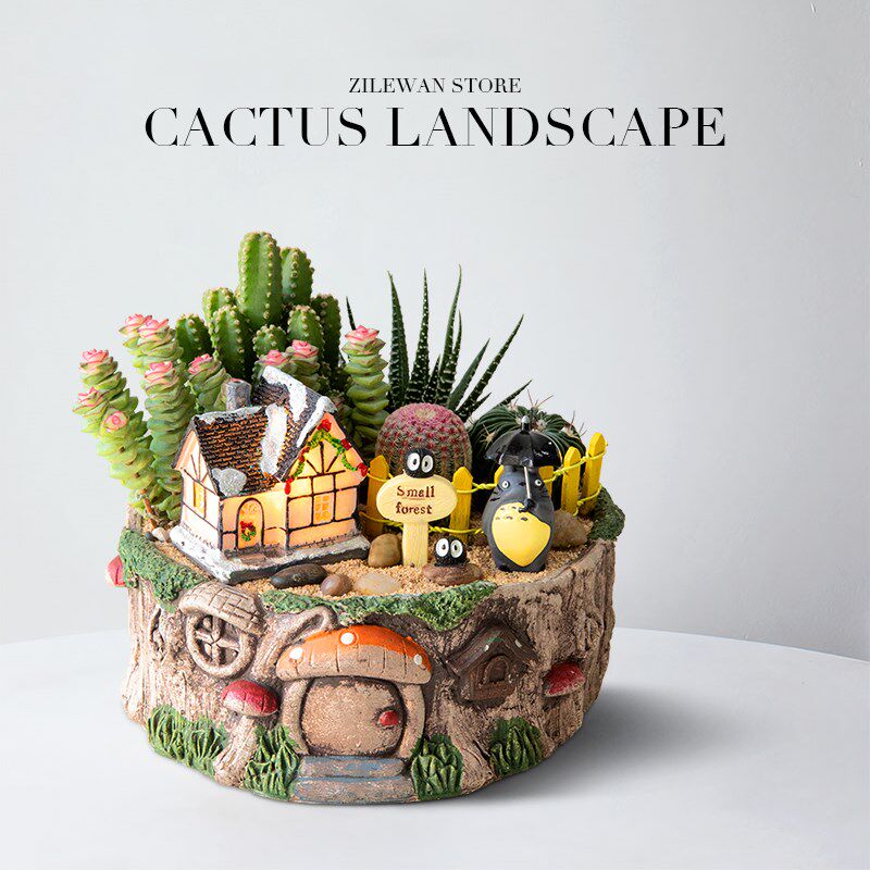 多肉植物室内盆栽办公室桌面仙人掌仙人球类大颗好养花卉钱串绿植