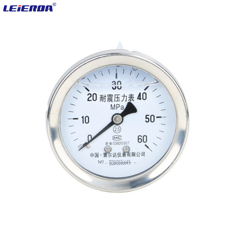 雷尔达轴向带前边带法兰盘轴向带安装前边耐震不锈钢压力表气液压