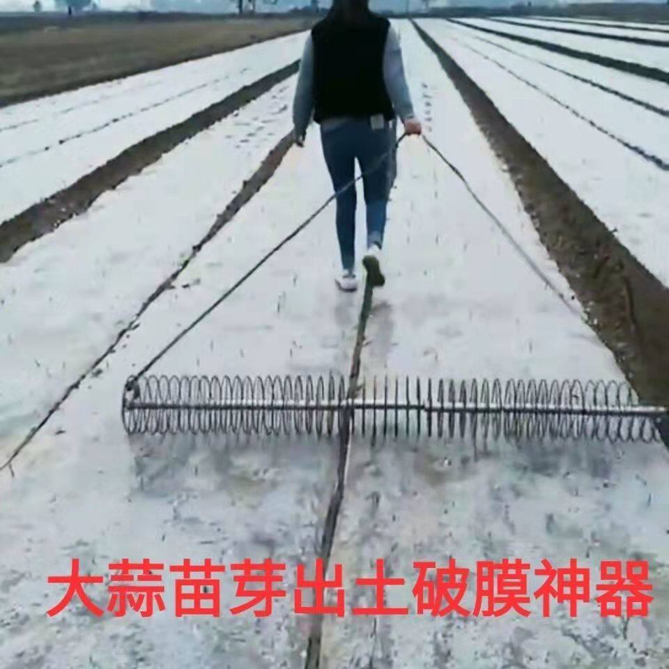 大蒜出苗器大蒜苗芽破膜助力工具铁环圆环种大蒜工具出苗神器