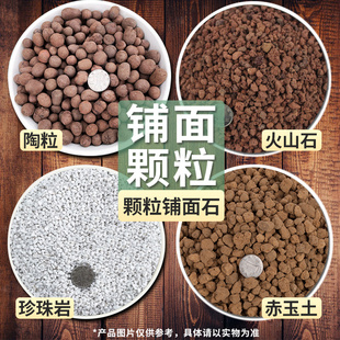 花彩师园艺铺面虹彩石麦饭石轻石赤玉土陶粒火山石绿沸石专用颗粒