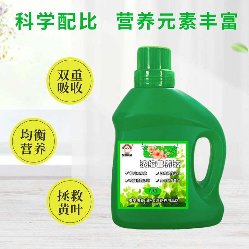 龙爪菊专用浓缩营养液阳台盆栽绿植物木立芦荟通用促生根液体肥料