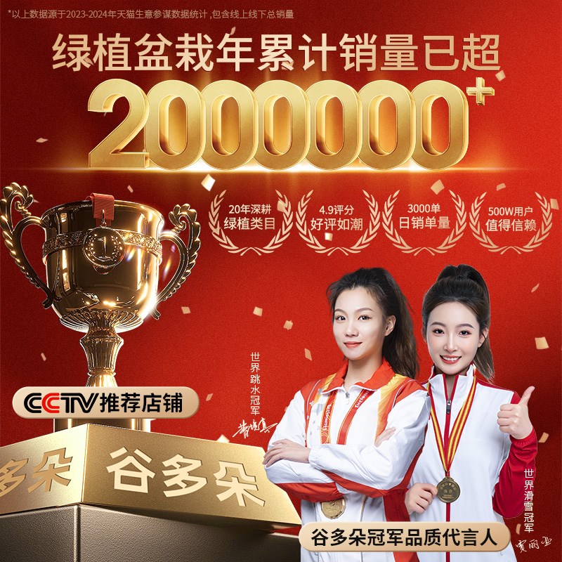 垂丝海棠花盆栽四季开花老桩带花苞盆景树苗室内鲜花卉绿植物好养