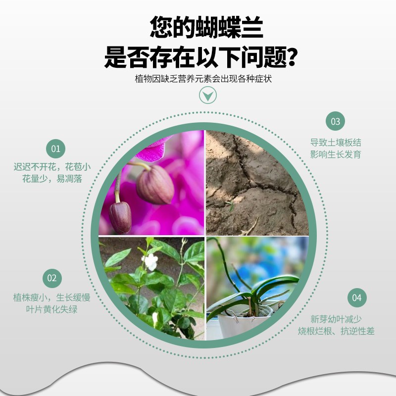 蝴蝶兰肥料专用缓释肥颗粒治黄叶促开花室内花卉盆栽专用控释肥料