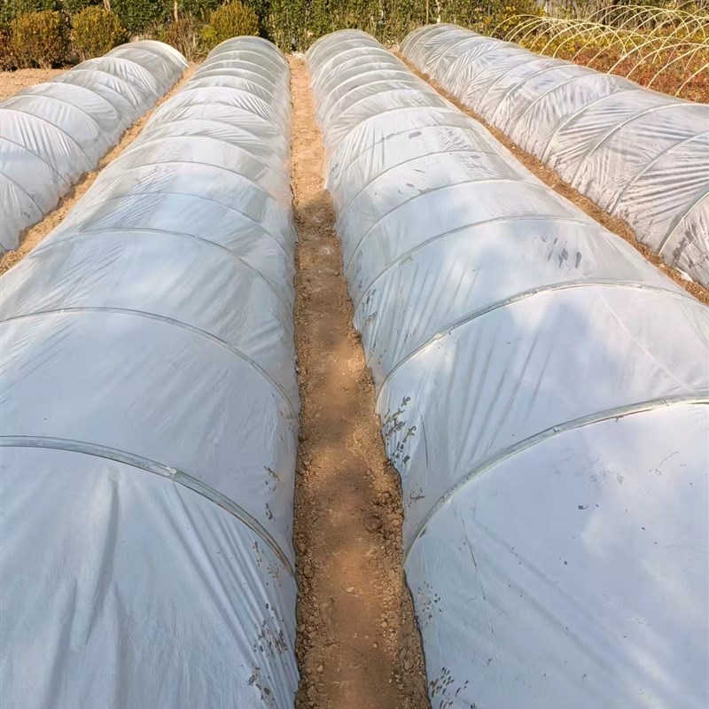透明塑料薄膜农用小拱棚膜大棚二模种菜育苗加厚保温保湿防冻