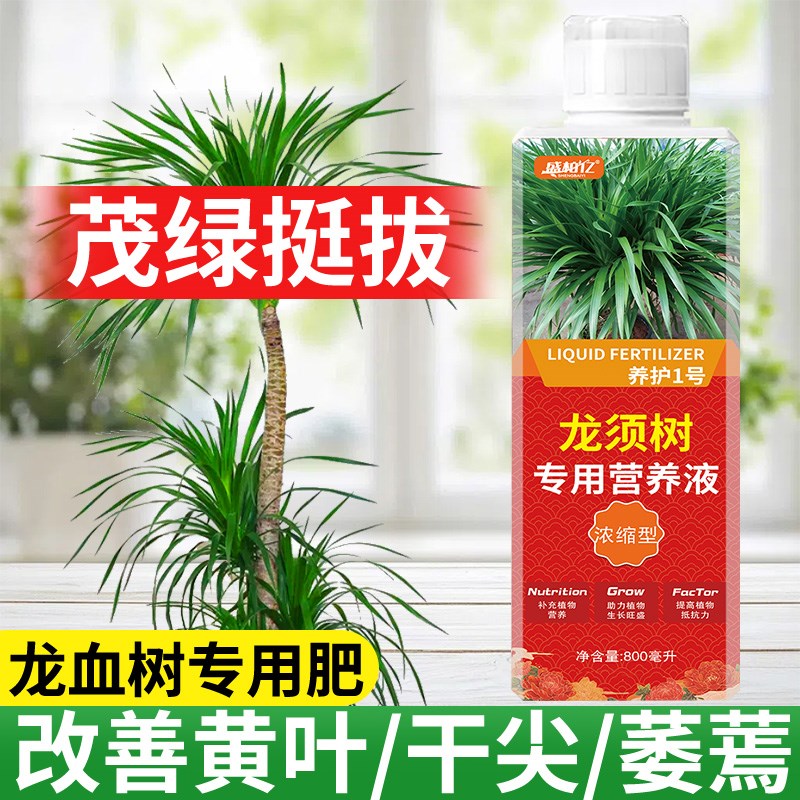 龙血树龙须树专用肥料营养液室内绿植养花肥盆栽植物通用氮磷钾肥
