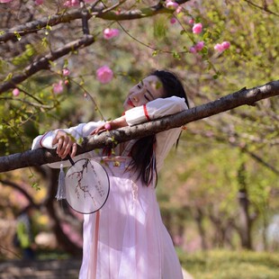 团扇宫扇半透明丝质扇子中国古典风圆扇汉服旗袍走秀舞蹈装饰扇子