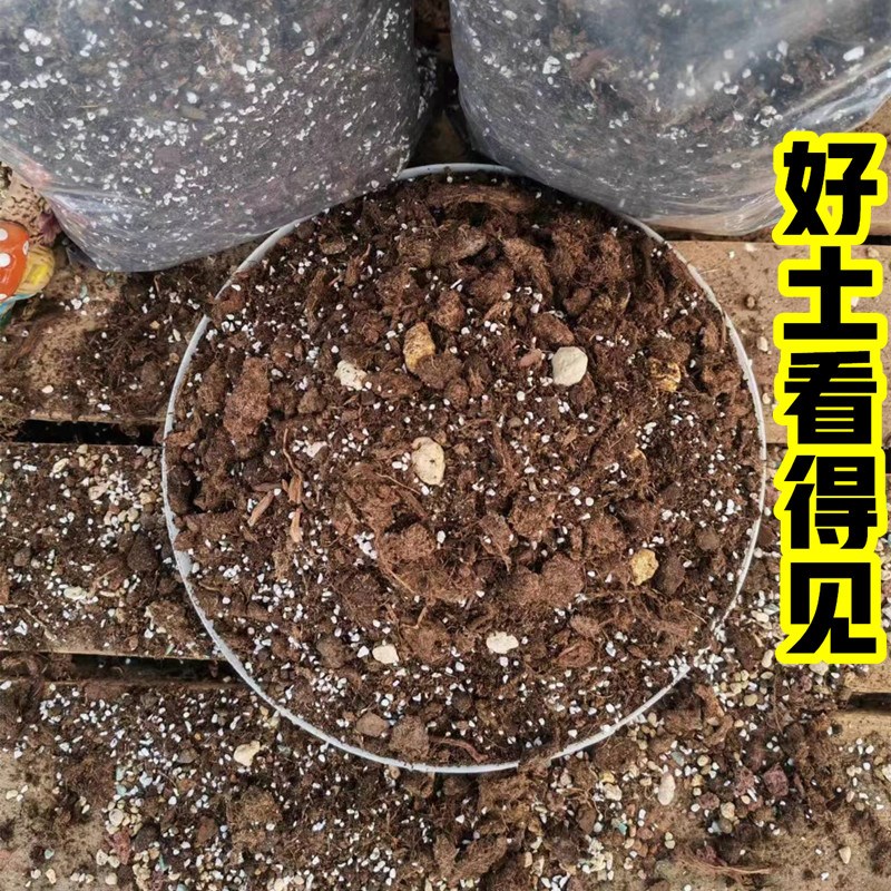 天南星科专用土龙鳞春羽龟背竹海芋秋海棠蔓绿绒花烛营养土种植土