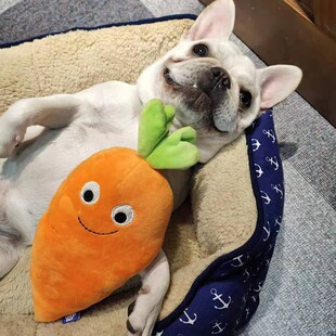 全可拆洗狗窝宠物窝小中型犬窝泰迪八哥法牛窝舒适棉窝秋冬保暖