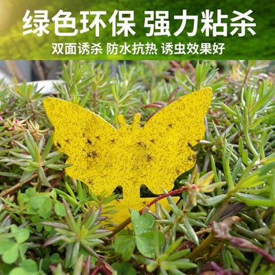 小黄板粘虫板花型家用花卉多肉月季双面沾诱虫板灭虫地插支架包邮