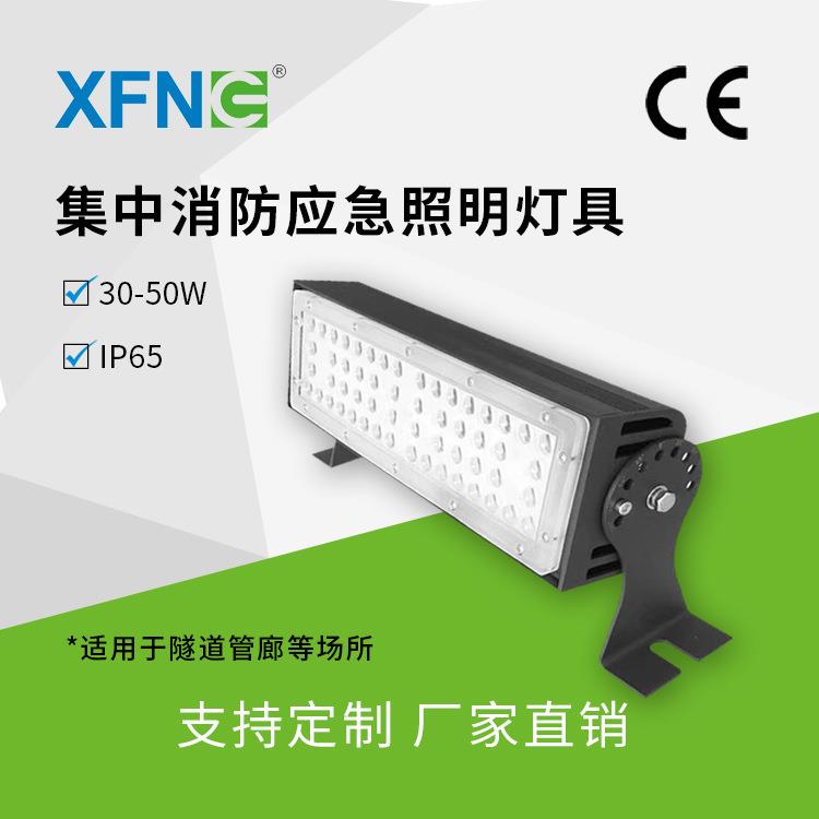 A型25W 铁路隧道消防认证集中供电型消防应急照明灯具 IP65