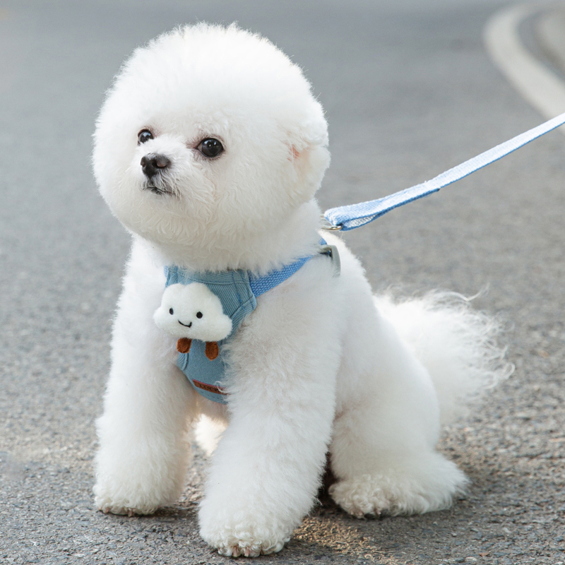 云朵小狗狗背心式牵引绳胸背带遛狗绳小型幼犬狗链子宠物猫咪外出