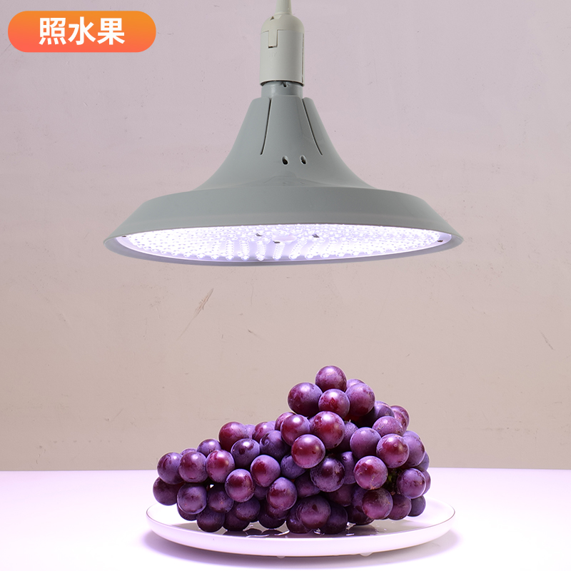 新国标led生鲜灯猪肉灯熟食灯冷鲜肉专用灯水果市场灯海鲜蔬菜灯