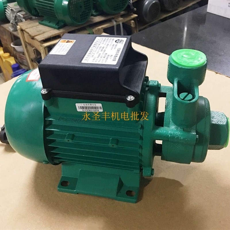 广东凌霄1DB35 1DB45 1DB65 -B清水泵330W 家用抽水机550W 750W