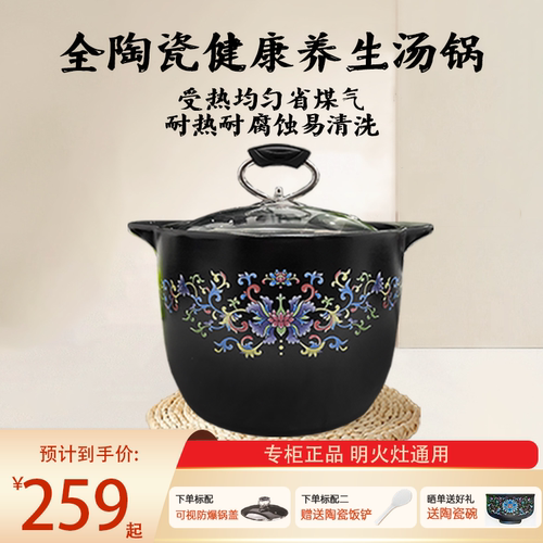 官方正品大容量4.5L家庭炖汤神器