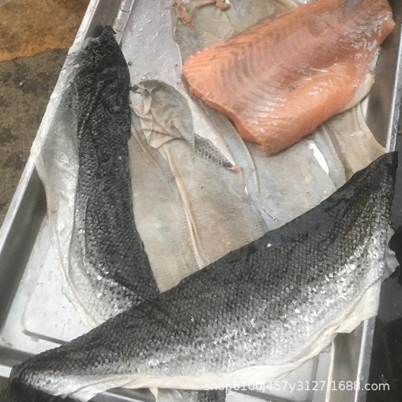 广西广州福建浙江鱼皮扒皮机小型鯪鱼鲢鱿鱼淡水鱼海鱼去皮机