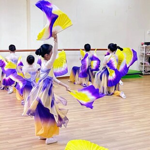 十八焕蝶舞蹈服中国风紫色艺考剧目表演服装儿童古典舞扇子演出服