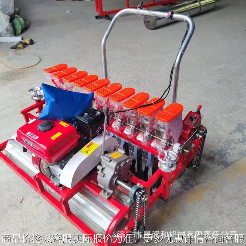 电动多行种子播种机 新款单行施肥播种一体机 花生大豆各种药材