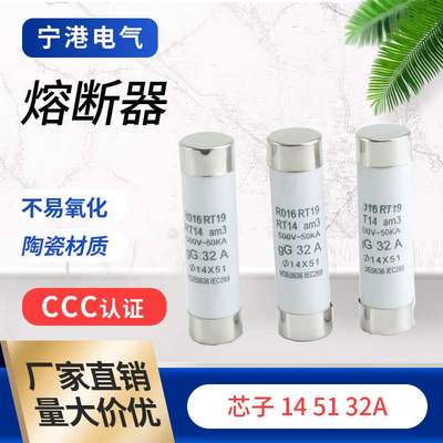 宁港现货供应陶瓷材质保险丝管熔断器14/32/51A熔芯熔断器