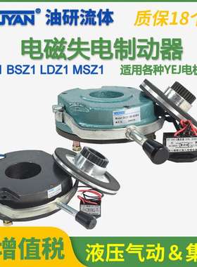 DSZ1 LDZ1失电MSZ1制动05器BSZ1-08 15 30 40 80 150 200 300 450