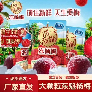 【新品上市】溜溜梅冻杨梅100g*3袋大颗粒果脯果干休闲解馋小零食