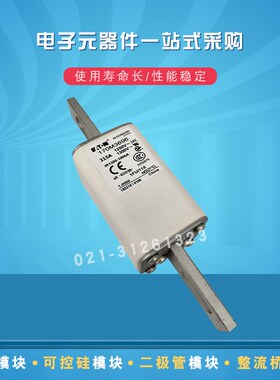 现货快速熔断器保险丝170M3669 3670 3671 3672 3673 3675 3678