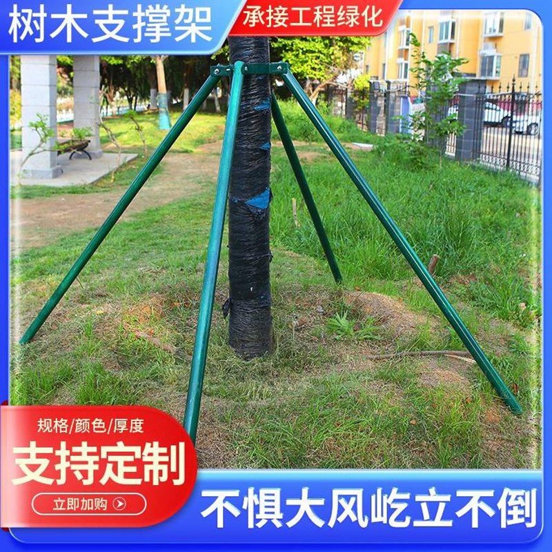 镀锌钢管树木支撑架园艺固定器园林防风大树支撑杆绿化木支架树撑