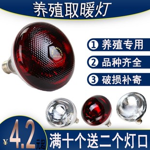 养殖专用取暖灯小猪取暖灯小鸡保温灯泡育雏灯泡养殖场升温加温灯