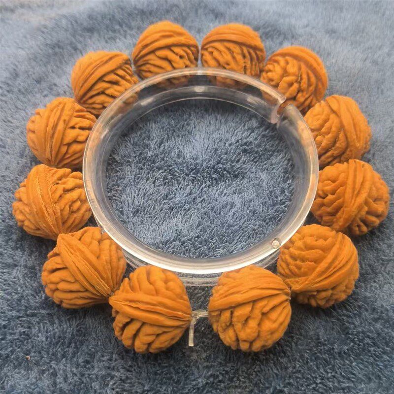 矮桩刺龙陕西秦岭迷你龙纹小桃核手串龙纹小金豆真桃核手串男女款