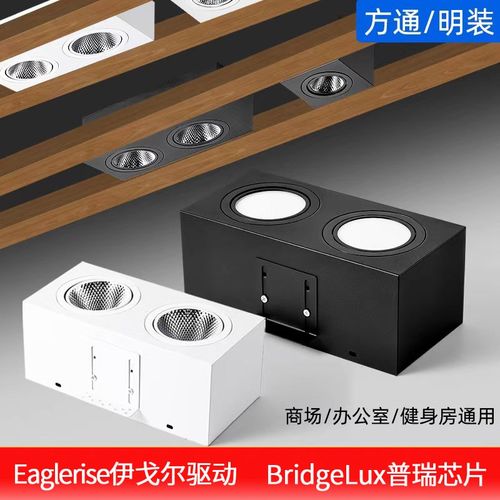 斗胆灯伊戈尔方通专用灯商用led双F头明装格栅全光谱普瑞筒灯射灯