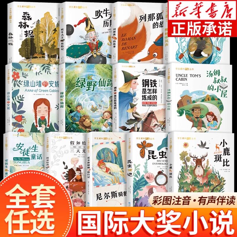国际大奖小说注音版全套一二年级其它儿童读物